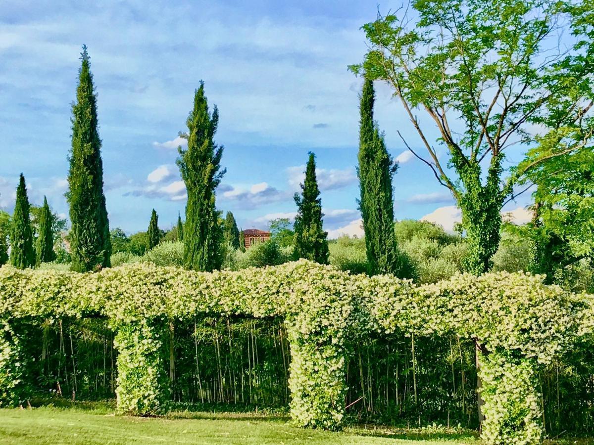 Agriturismo Antica Dimora Del Turco Sona Exterior foto
