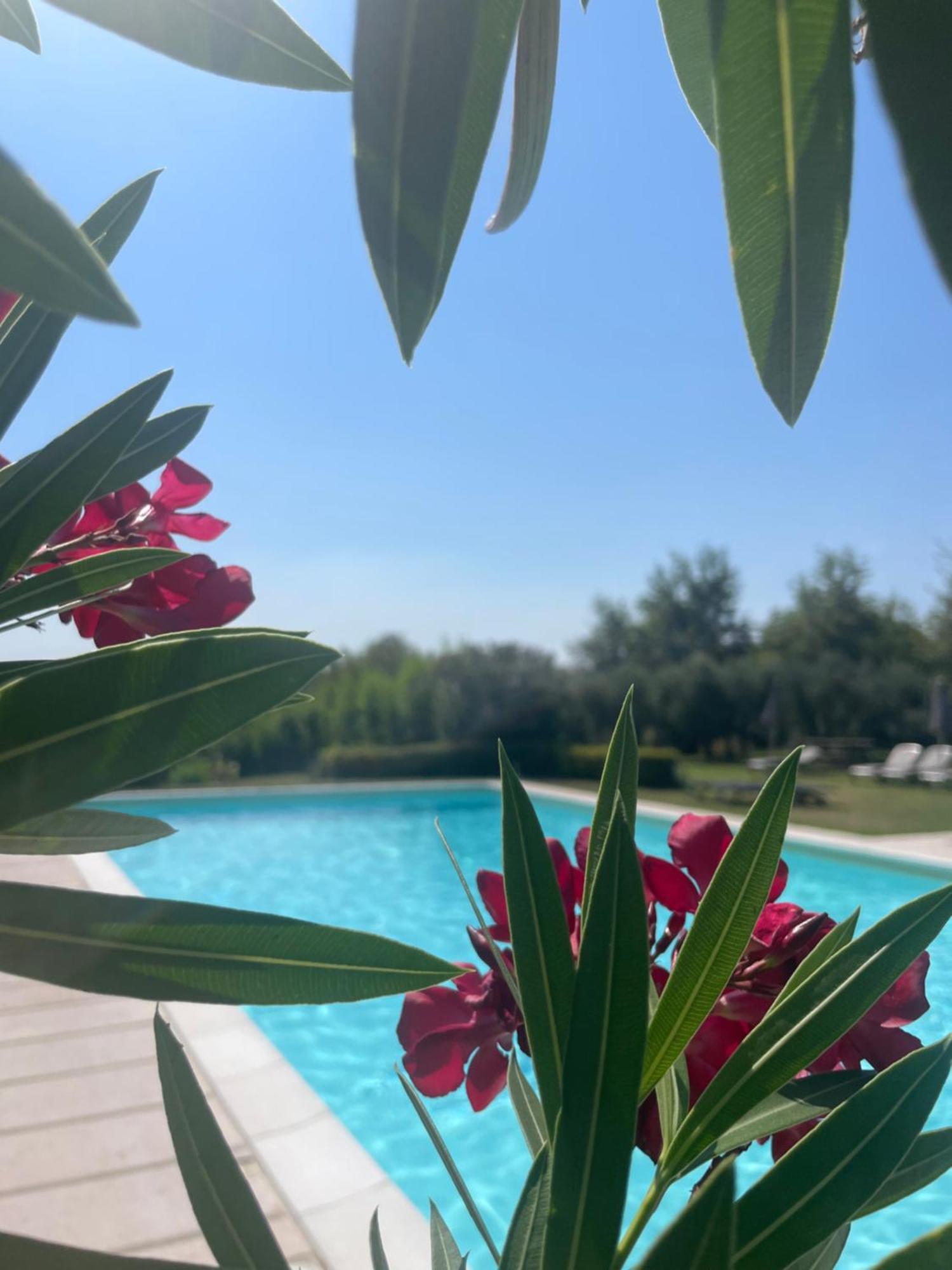 Agriturismo Antica Dimora Del Turco Sona Exterior foto